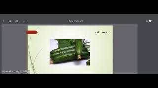 تحلیل صادرات میوه های تابستانی