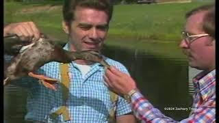 Salmon Slaughter Fishing - Ducks Diet - Whitetail Deer - Sporting Dogs _ Pet Grouse  2004-08-12