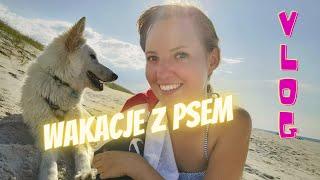 PIES NAD MORZEM! Wycieczka nad Bałtyk z psem ️ | VLOG