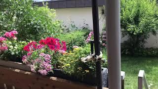 Euro Vacation VLOG AJBFAM Tante Inge House in Ravensburg