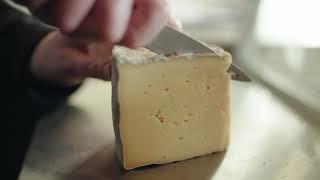 Traditional Welsh Caerphilly Cheese GI Food Story - Stori Bwyd GI Cymru Caws Traddodiadol Caerffili