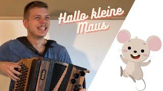 Hallo kleine Maus - Steirische Harmonika