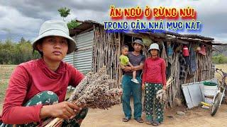 BỎ LÀNG, 2 vợ chồng trẻ tuổi nhất miền núi, chạy vô rừng ở ẩn - tập 1343