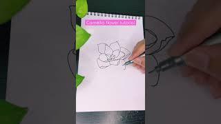 Camellia flower tutorial #shorts #camellia #flowerdrawing #tutorial