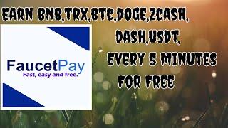 How To Earn Bnb,Btc,Trx,Doge,Ltc, In Faucetpay 2021 || High Paying Faucet site by Playboy Sidhu ||