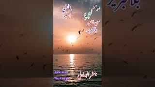 شعر : الطيور المهاجره