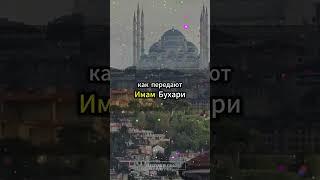 Лёгкое садака: делать добро каждый день #ЛёгкоеСадака #ДелаемДобро #МотивацияИслама