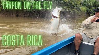 Bucket List Tarpon fishing on the fly in Costa Rica!