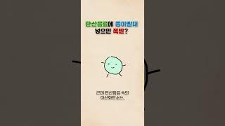 종이 빨대가 극혐인 이유