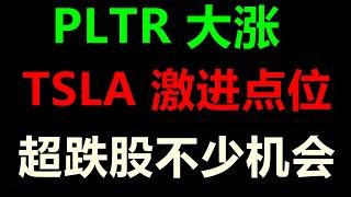 美股CPI喜忧参半，TSLA激进点位，PLTR大涨，目标价没到！超跌股不少抄底机会！QQQ SPY TSLA NVDA SOXL PLTR CHWY AAPL ABNB COIN RBLX #TSLA
