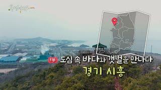 [풍경여지도] 도심 속 바다와 갯벌을 만나다 - 경기 시흥 1부 / 연합뉴스TV (YonhapnewsTV)