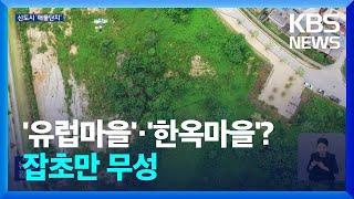 내포신도시에 유럽마을·한옥마을?… 잡초만 무성 / KBS  2024.09.16.