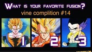 Dbz vine complition #14 mostly fusion