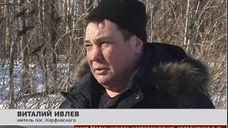 В лес за валежником. Новости. 15/02/2019. GuberniaTV