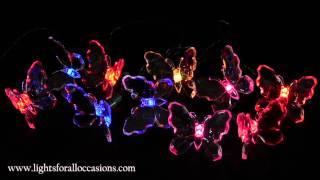 LED Butterfly String Lights, Color Changing, Battery Op-Demo