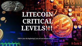 Litecoin is the future,  don't accept anything that isn't truly decentralized