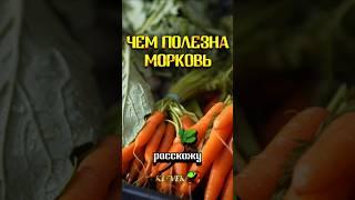 ЧЕМ ПОЛЕЗНА МОРКОВЬ? #морковь #питание #пп #здоровье #медицина