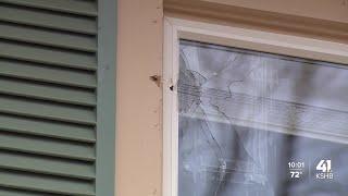 KCK neighborhood worried by overnight triple shooting, relieved by no deaths