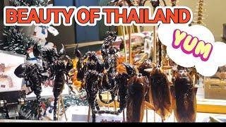 Ep.5 Holiday in Thailand Vlog | 최고의 휴양지 태국 브이로그