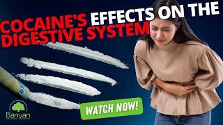 Cocaine's Effects on the Digestive System