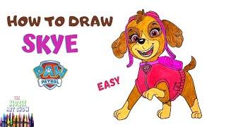 How to draw Skye from PAW Patrol step by step easy. Skye, the Pilot puppy drawing video.