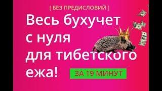 Весь бухучет с нуля для тибетского ежа! За 19 минут, без предисловий