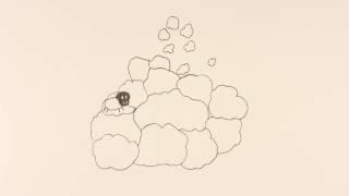 CLOUD SHEEP