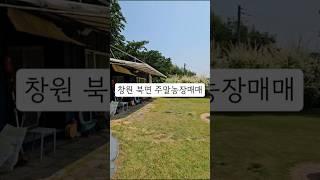 창원시 의창구 북면 주말농장매매 감성캠핑가능 텃밭매매