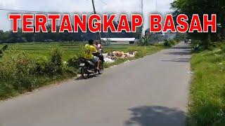 Buang Sampah Sembarangan vs Hakim Pinggir Jalan