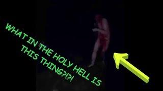 5 Mysterious Creatures Caught on Tape!