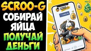 Scroo-G заработал играя 500$ без вложений