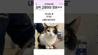 삼색 고양이의 정체ㅋㅋ
