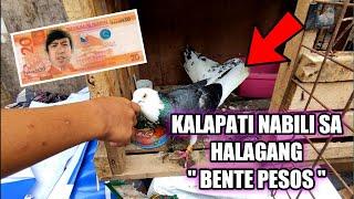 KALAPATI NABILI SA HALAGANG "BENTE PESOS"..