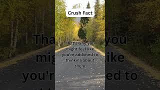 Fact Fusion | Day 3 | Crush Fact | 5