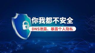 DNS泄露/dns劫持的危害，容易暴露自己的上网行为，泄露自己的个人隐私！大部分的小伙伴都没有注意到这些年其实我们一直都在裸跑！如何预防dns泄露或dns劫持，降低个人隐私泄露的风险#一瓶奶油