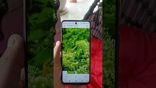 Redmi 9 pro max video quality #shorts