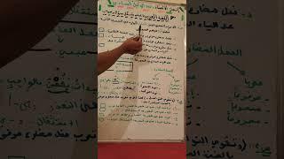 دروس اللغة العربية ابتدائي بطريقة ساهلة وبسيطه جدااا على شكل سؤال وجواب 