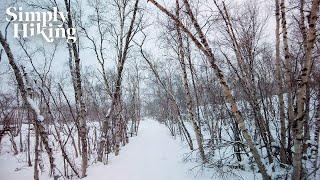 A FREEZING hiking adventure in Sweden!