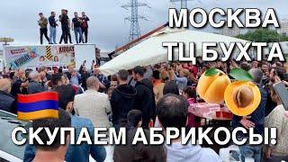 Армяне скупают абрикос ТЦ Бухта Москва