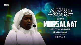 Surah Mursalaat | Imam Feysal | Visual Quran Recitation