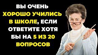 Вы хорошо учились? | Интересный тест на эрудицию #81