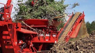 Amazing Powerful Wood Chipper Machines in Action, Incredible Crazy Tree Shredder Machines Working