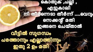 കൊതുക് ,പല്ലി ,എട്ടുകാലി കൂട്ടത്തോടെ ചത്തു വീഴാൻ ഇതു മാത്രം മതി| Magic Lemon |How to kill insect