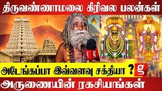 ஆயுளை அதிகரிக்குமா கிரிவலம் ? சித்தர் சொன்ன ரகசியம் ? | Thiruvannamalai Girivalam