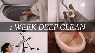  deep clean my entire home w/ me (in 1 week)