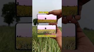 Oppo F27 Pro Plus vs Vivo V30e Camera Test #shorts