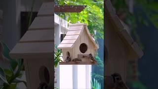 Woodworking Enthusiasts Rejoice WITH These Amazing Designs #diy #woodworking #shortvideo #shorts