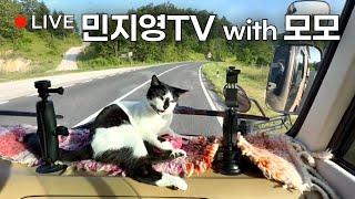 모로코 길냥이에게 간택당해 캠핑카로 함께 세계여행중입니다.