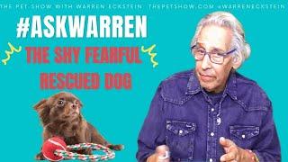 ASK WARREN: How to Socialize a Fearful Dog