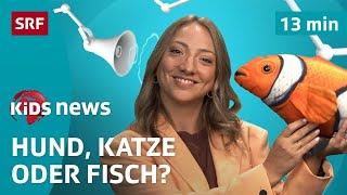 SRF Kids News: Haustiere – Freude und Verantwortung zugleich | Nachrichten für Kinder